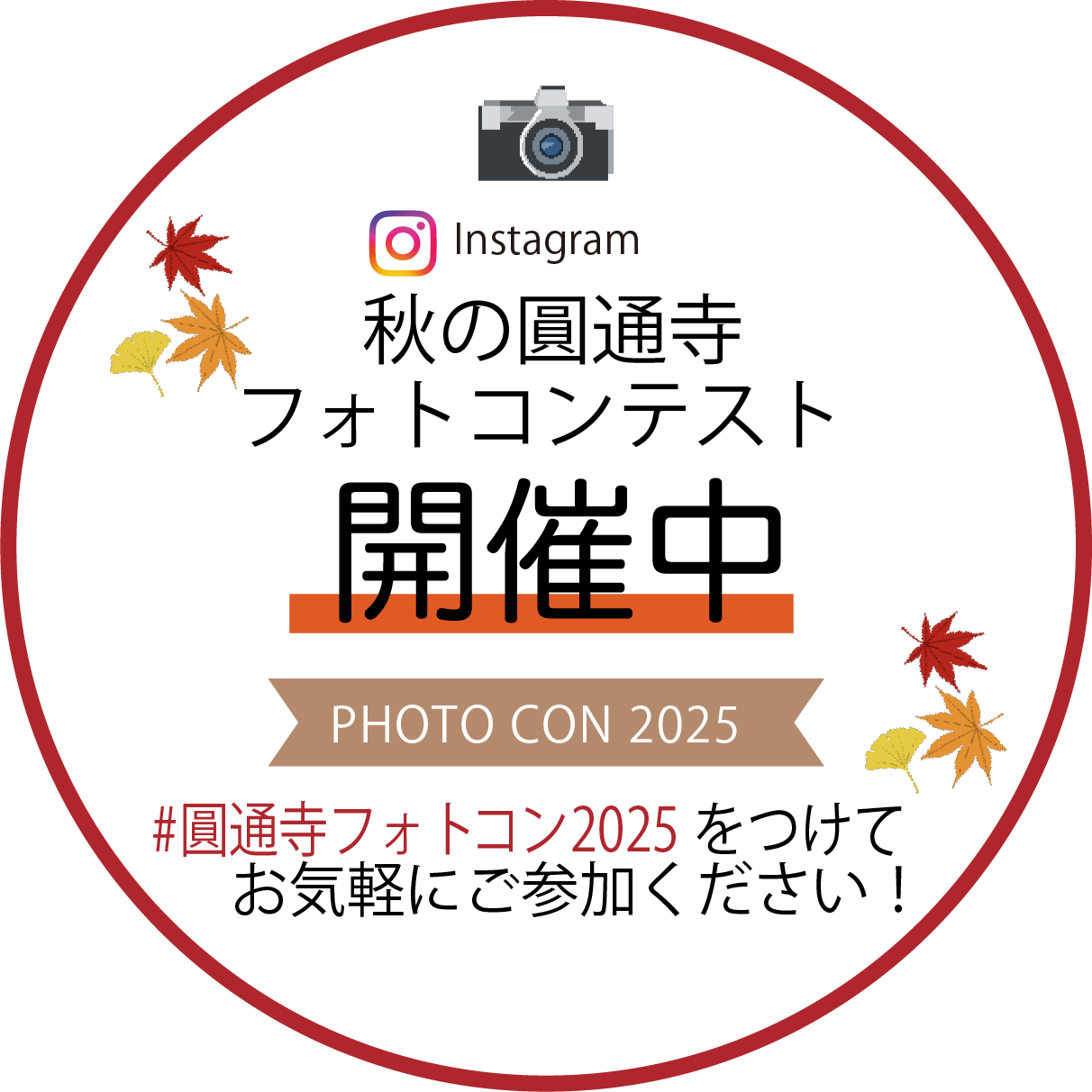 秋の圓通寺フォトコンテスト開催中
