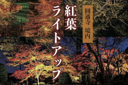 11月1日（金）から紅葉ライトアップが始まります