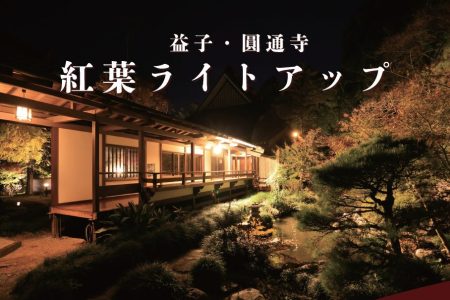 11月1日（金）から紅葉ライトアップが始まります